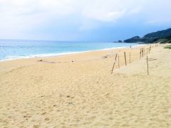 ウミガメの産卵地いなか浜｜鹿児島県屋久島町