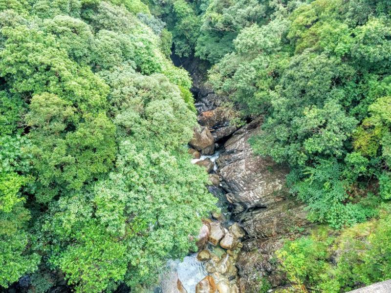 竜神の滝 滝の下の川２