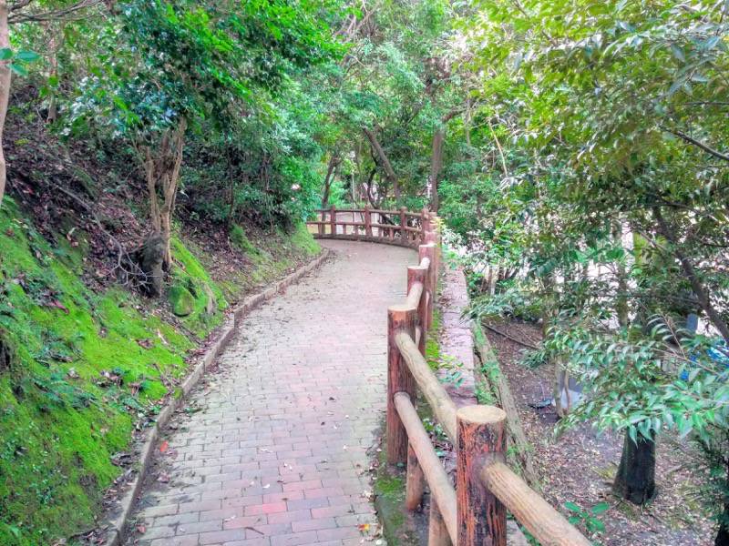 多賀山公園 園内６