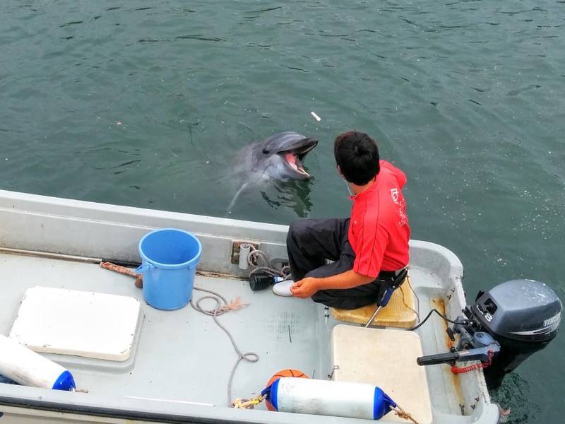 青空イルカウォッチング-笑顔.jpg 青空イルカウォッチング 笑顔