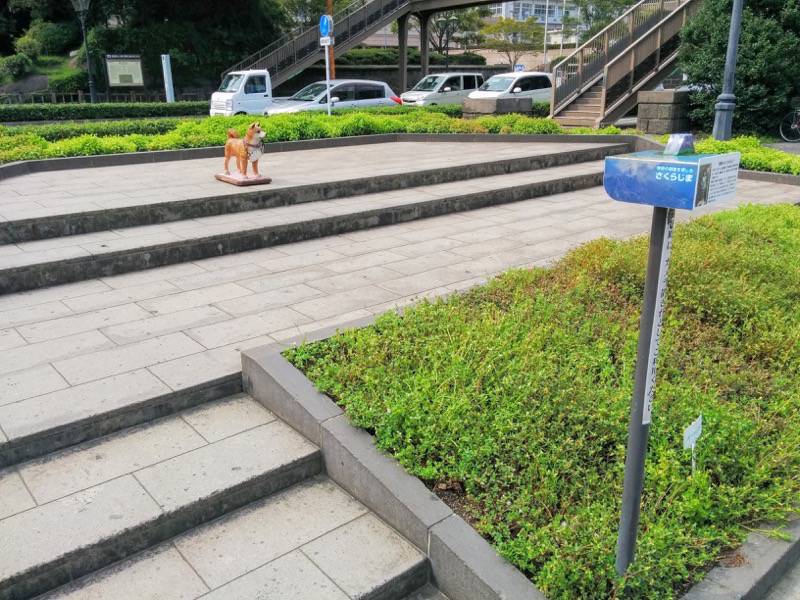西郷隆盛像-撮影ひろば2.jpg 西郷隆盛像 撮影ひろば2