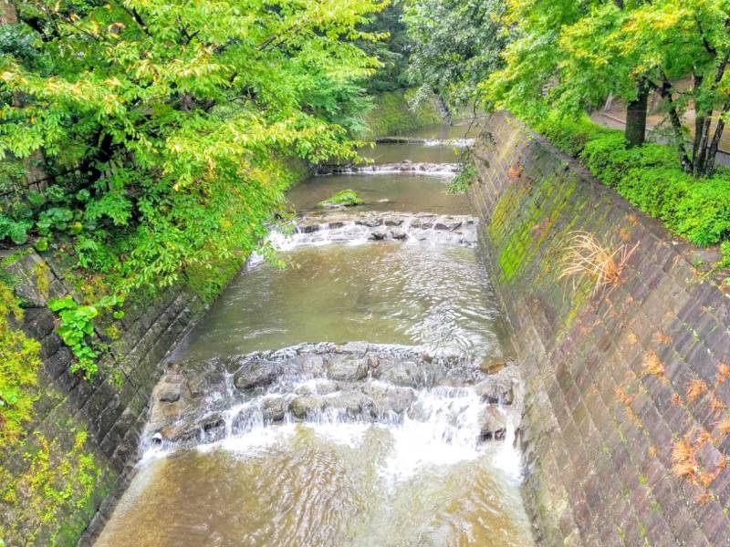 仙巌園 祥福橋より見た保津川
