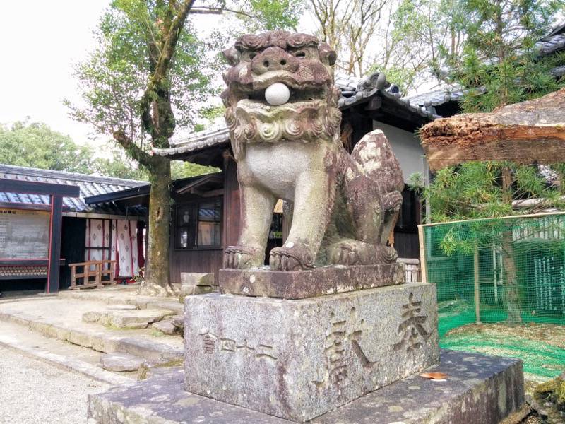青井阿蘇神社-狛犬2.jpg 青井阿蘇神社 狛犬2