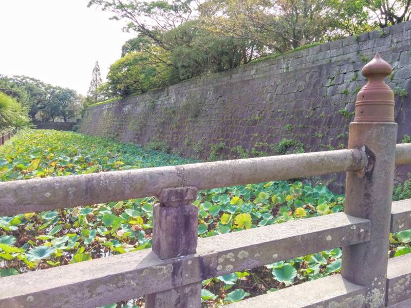 鶴丸城 鹿児島城 石橋から見た石垣１