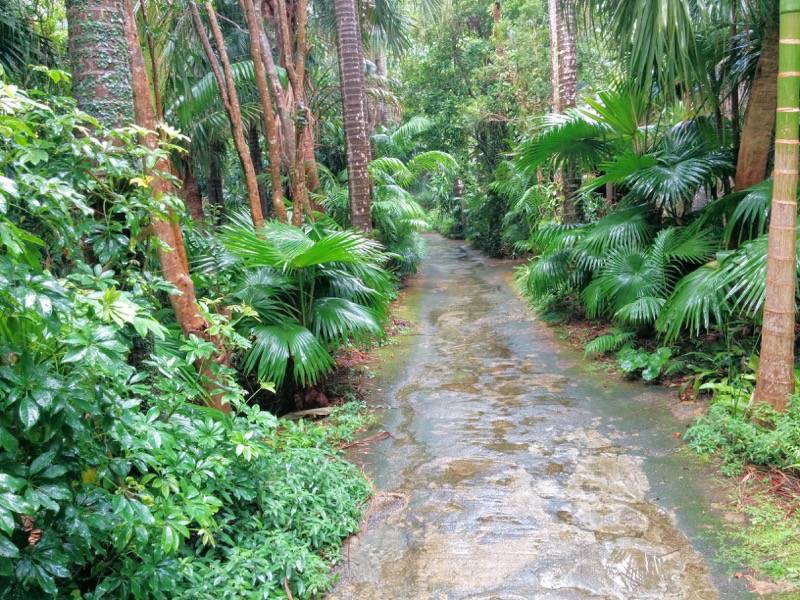 屋久島フルーツガーデン 果実庵へ６
