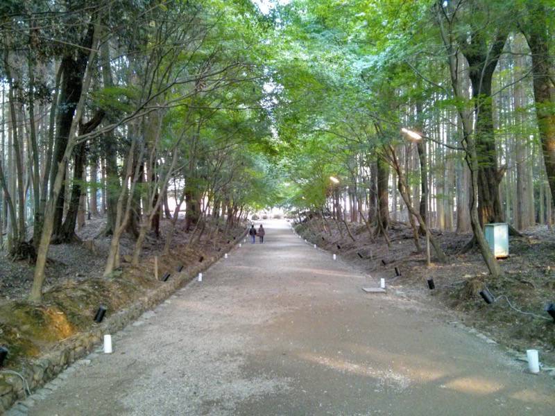 醍醐寺-西大門後ろの参道.jpg 醍醐寺 西大門後ろの参道
