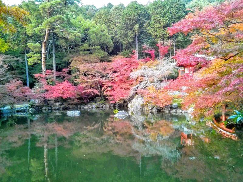 醍醐寺-弁天堂の紅葉5.jpg 醍醐寺 弁天堂の紅葉5