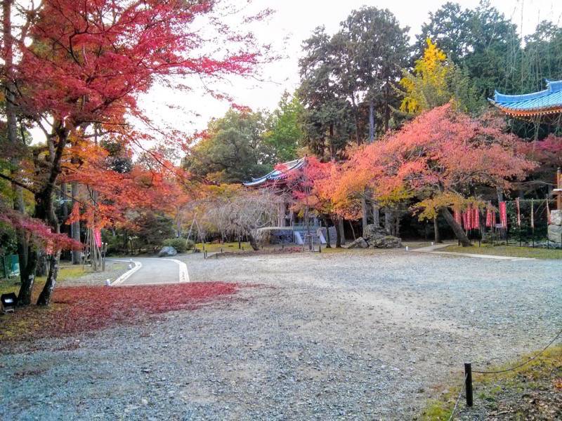 醍醐寺-観音堂付近の紅葉3.jpg 醍醐寺 観音堂付近の紅葉3