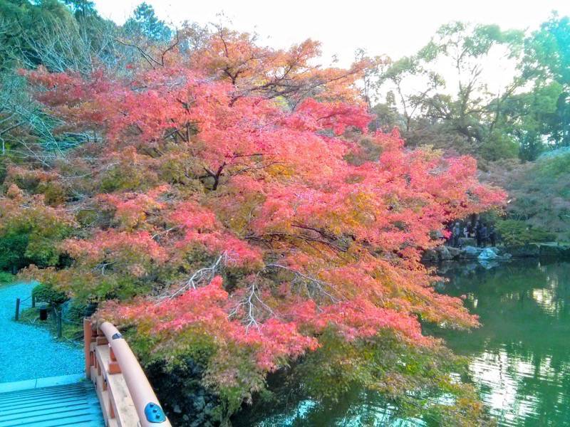 醍醐寺-弁天堂の紅葉12.jpg 醍醐寺 弁天堂の紅葉12