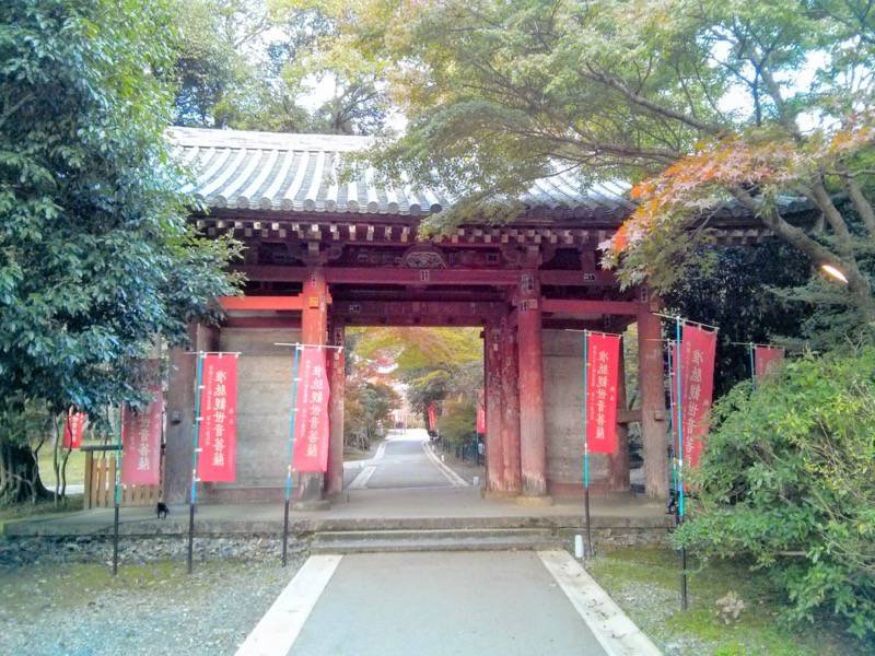 醍醐寺-観音堂付近の門.jpg 醍醐寺 観音堂付近の門
