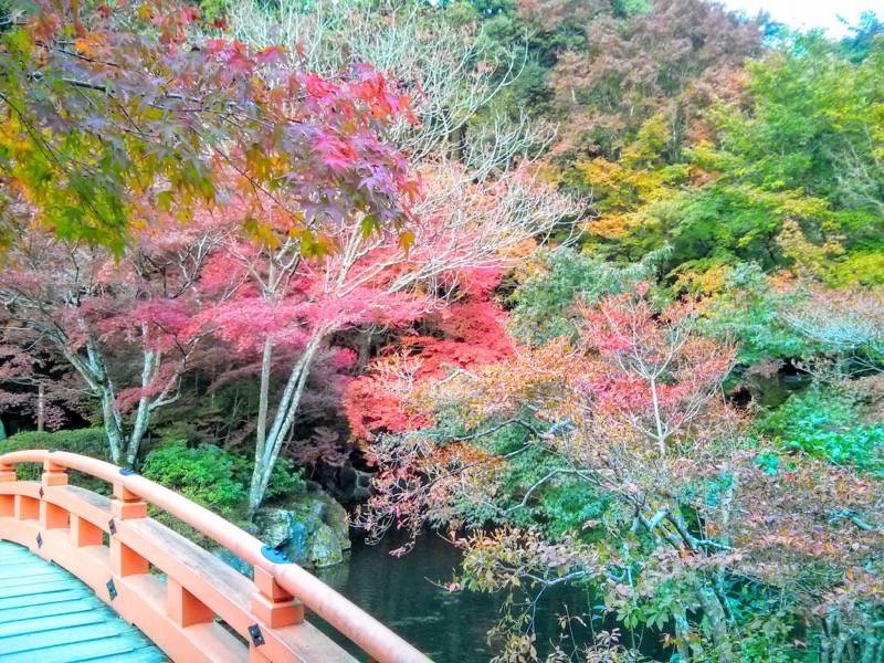 醍醐寺-弁天堂の紅葉8.jpg 醍醐寺 弁天堂の紅葉8