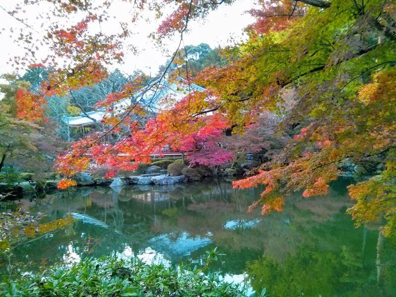 醍醐寺-弁天堂の紅葉6.jpg 醍醐寺 弁天堂の紅葉6