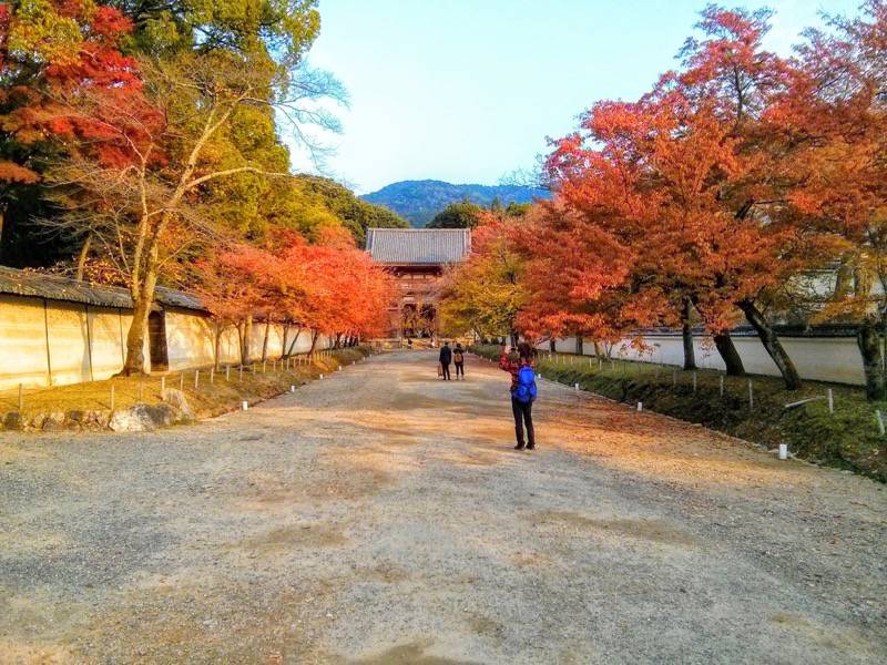 醍醐寺-西大門前の参道.jpg 醍醐寺 西大門前の参道