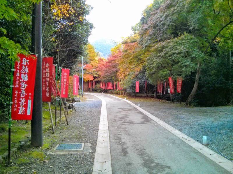 醍醐寺-祖師堂からの参道.jpg 醍醐寺 祖師堂からの参道