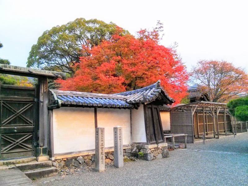 醍醐寺-三宝院の紅葉2.jpg 醍醐寺 三宝院の紅葉2