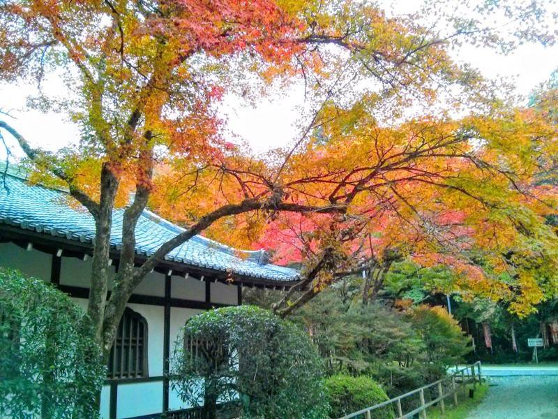 醍醐寺-祖師堂付近の紅葉2.jpg 醍醐寺 祖師堂付近の紅葉2