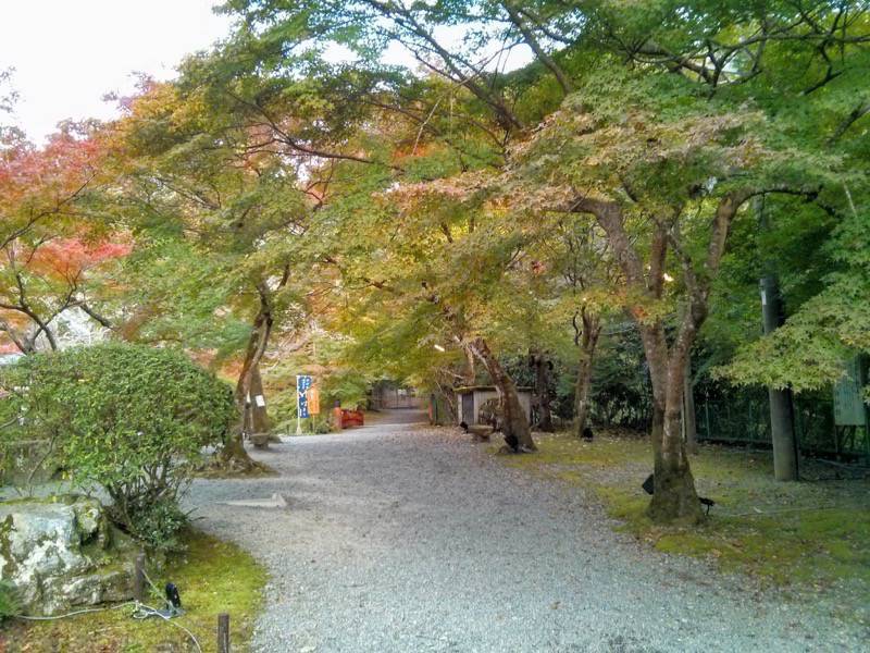 醍醐寺-観音堂付近の参道.jpg 醍醐寺 観音堂付近の参道