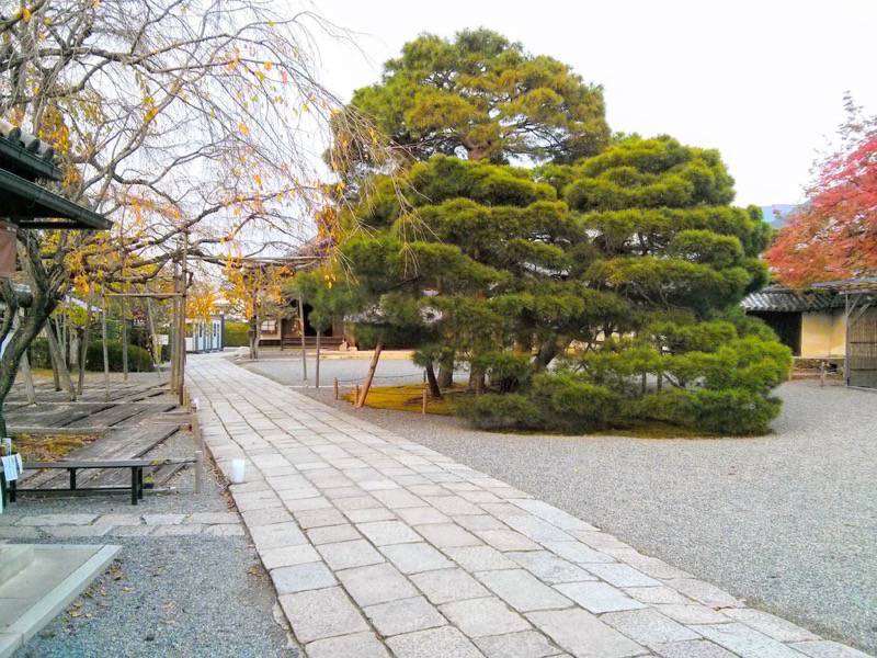 醍醐寺-三宝院1.jpg 醍醐寺 三宝院1