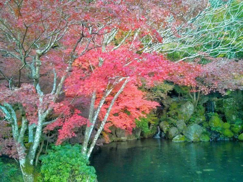 醍醐寺-弁天堂の紅葉10.jpg 醍醐寺 弁天堂の紅葉10