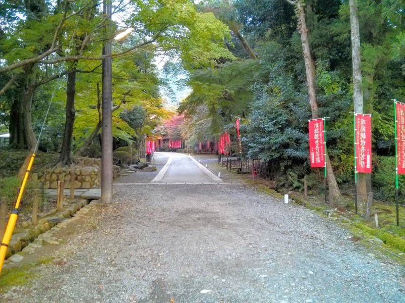 醍醐寺-五重塔からの参道.jpg 醍醐寺 五重塔からの参道