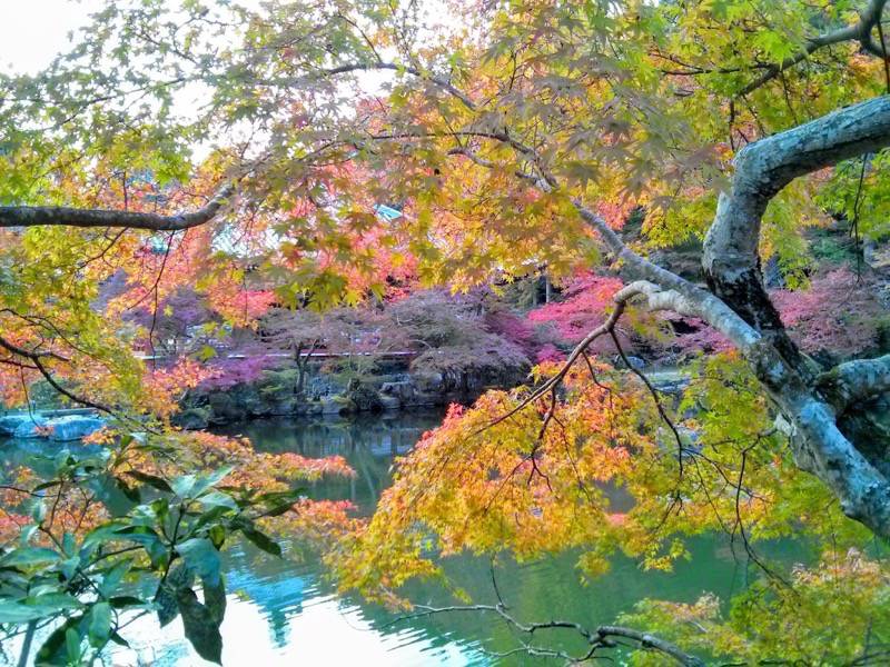 醍醐寺-弁天堂の紅葉7.jpg 醍醐寺 弁天堂の紅葉7