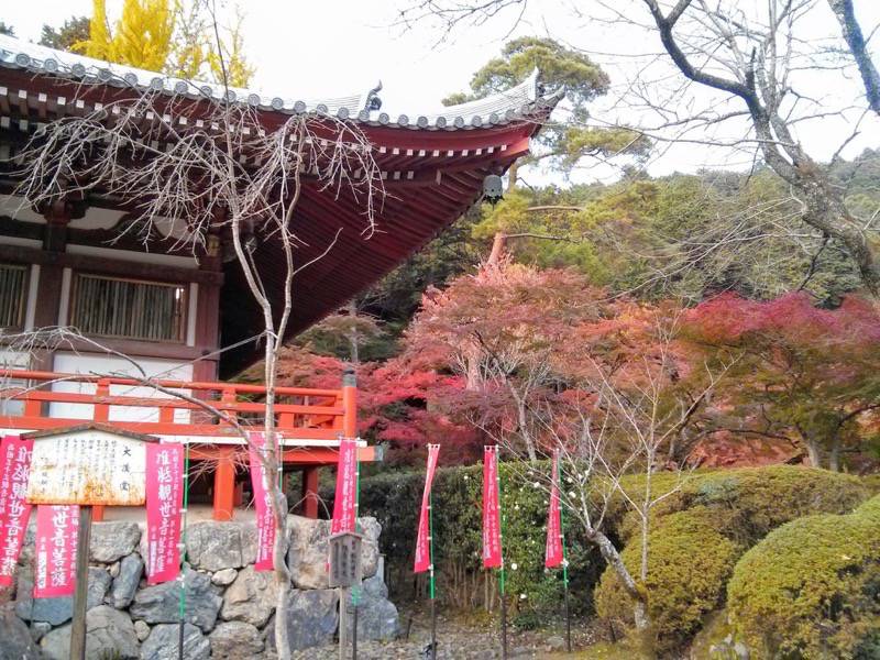 醍醐寺-観音堂付近の紅葉2.jpg 醍醐寺 観音堂付近の紅葉2