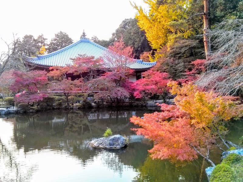 醍醐寺-弁天堂の紅葉9.jpg 醍醐寺 弁天堂の紅葉9