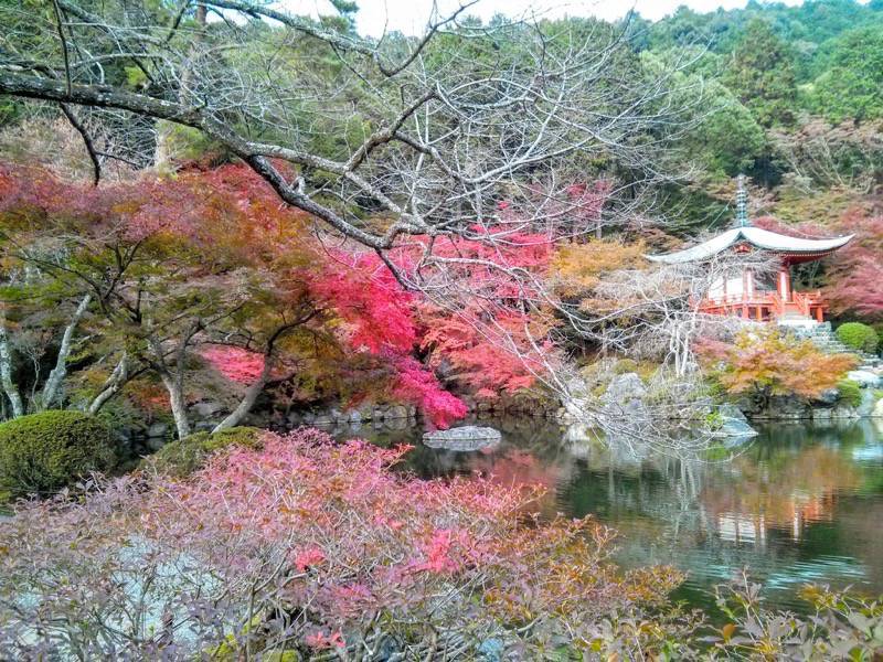 醍醐寺-弁天堂の紅葉2.jpg 醍醐寺 弁天堂の紅葉2