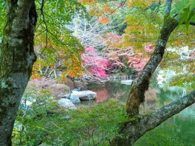 醍醐寺-弁天堂の紅葉1.jpg 醍醐寺 弁天堂の紅葉1