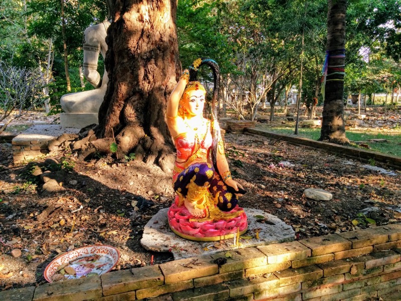 20プラ メートラニー