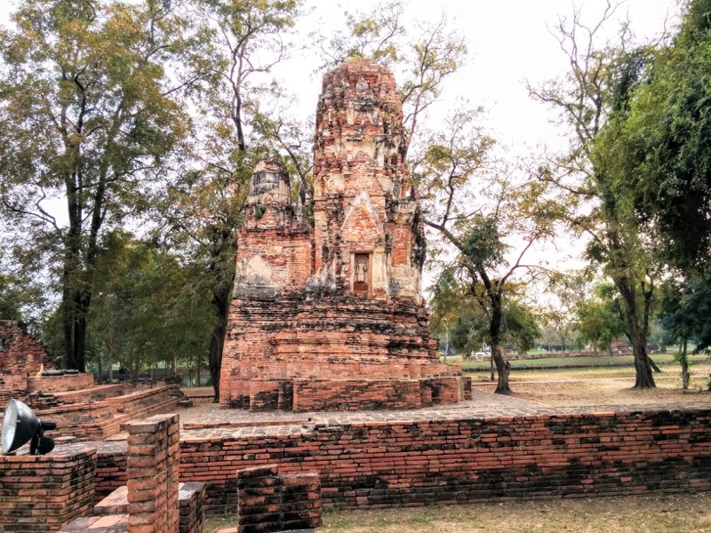 42チェディ.jpg 42チェディ