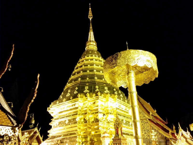 06黄金のチェディ