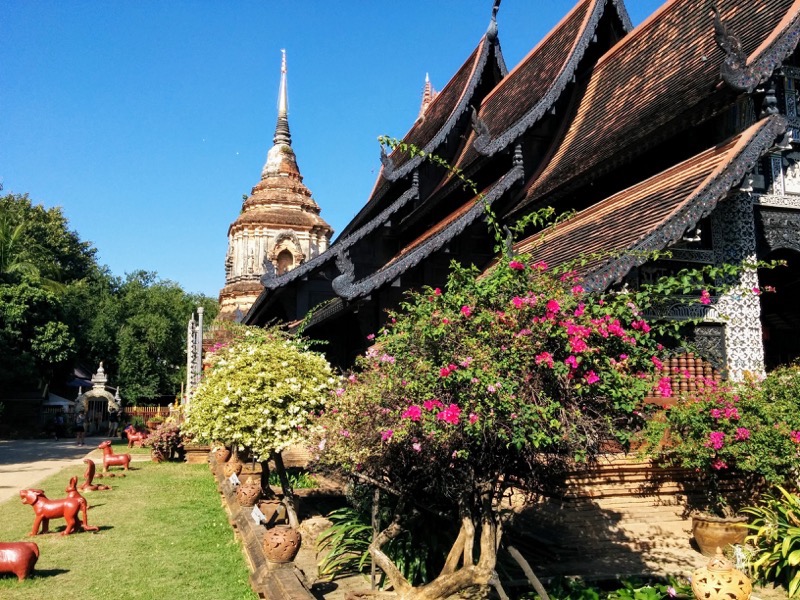 23本堂とチェディ