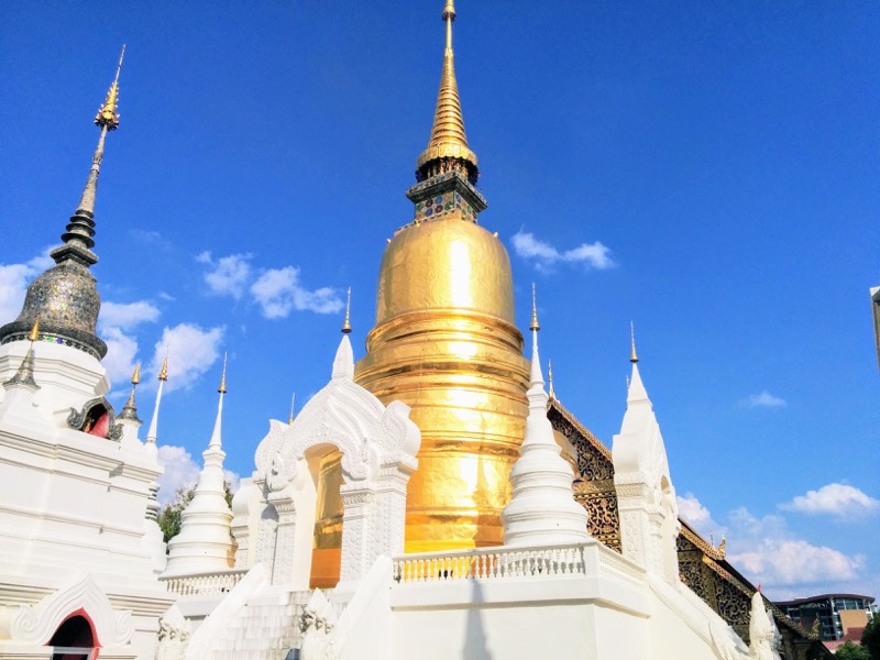 33チェディ.jpg 33チェディ