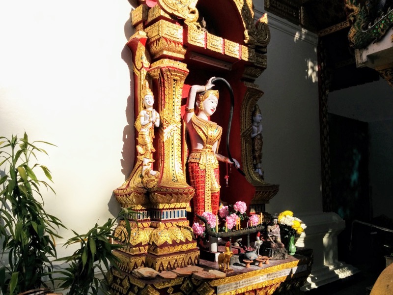 17プラ メートラニー