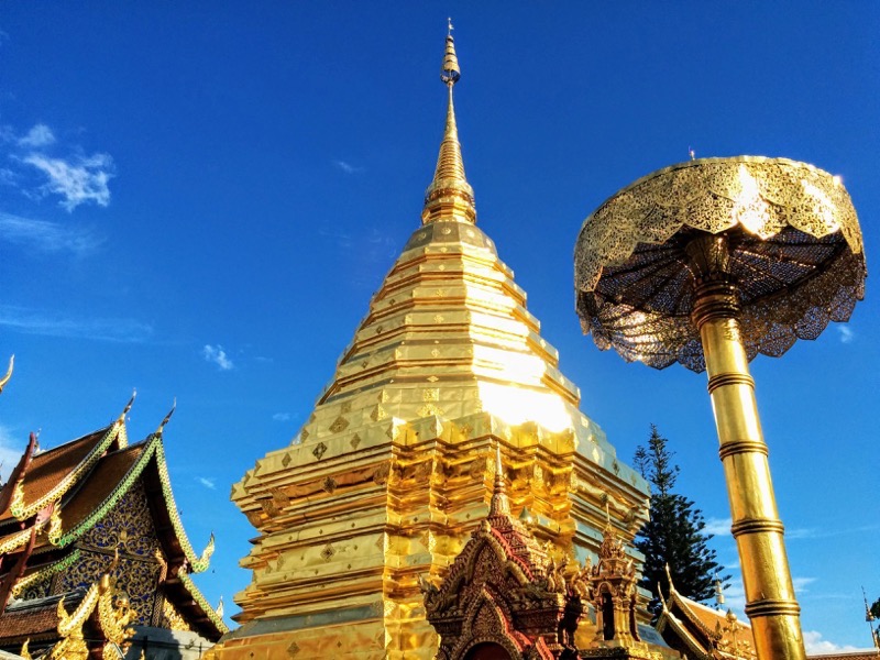 49黄金のチェディ.jpg 49黄金のチェディ