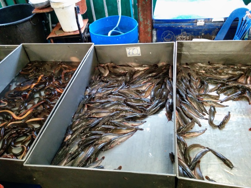 16鮮魚店.jpg 16鮮魚店