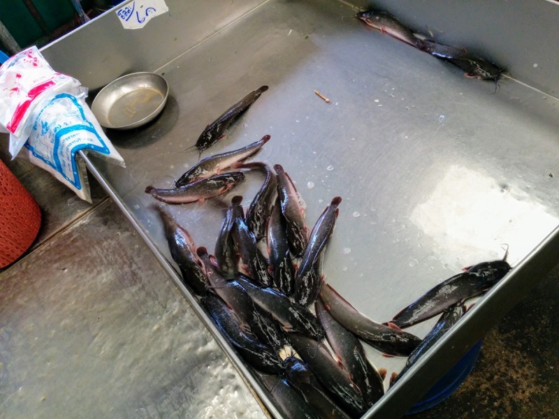 15鮮魚店.jpg 15鮮魚店