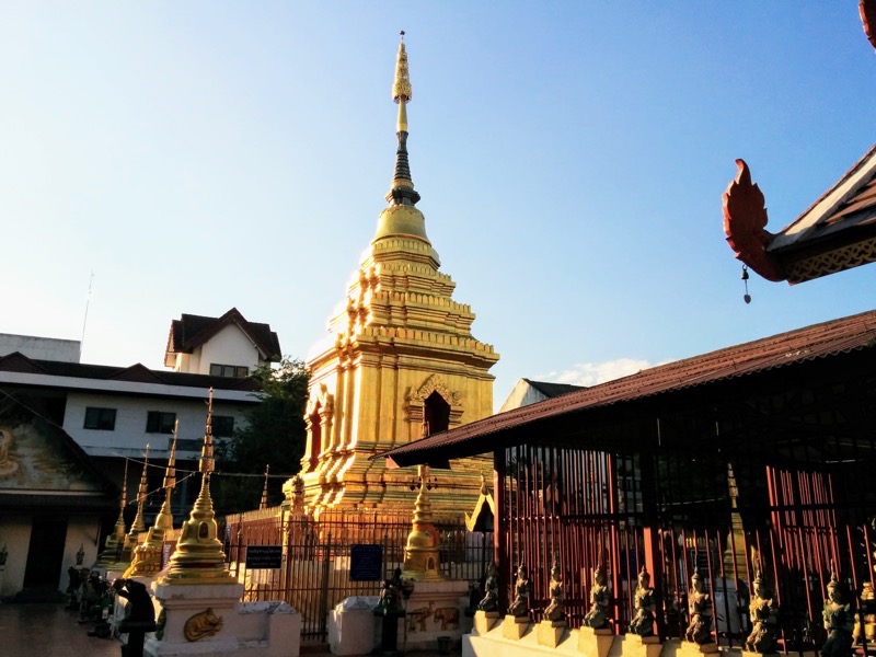 25黄金のチェディ