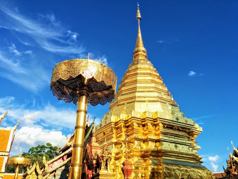 48黄金のチェディ.jpg 48黄金のチェディ