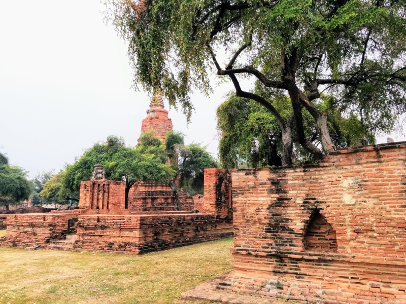 15チェディ.jpg 15チェディ