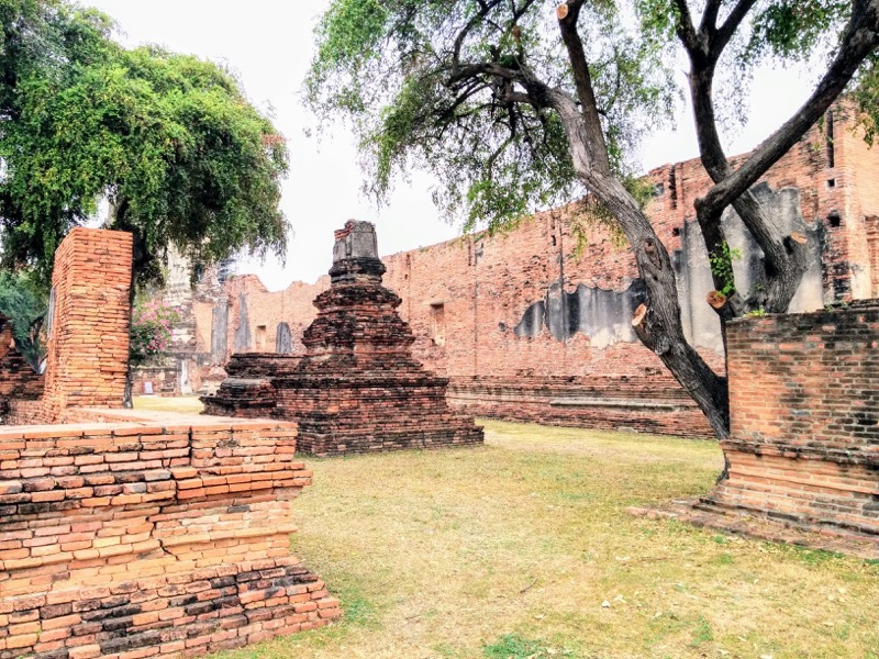 17チェディ.jpg 17チェディ