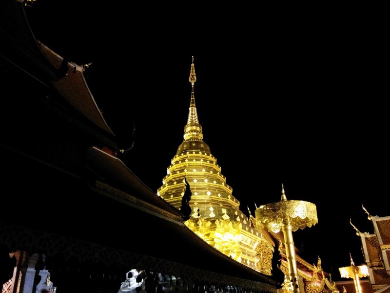 05黄金のチェディ