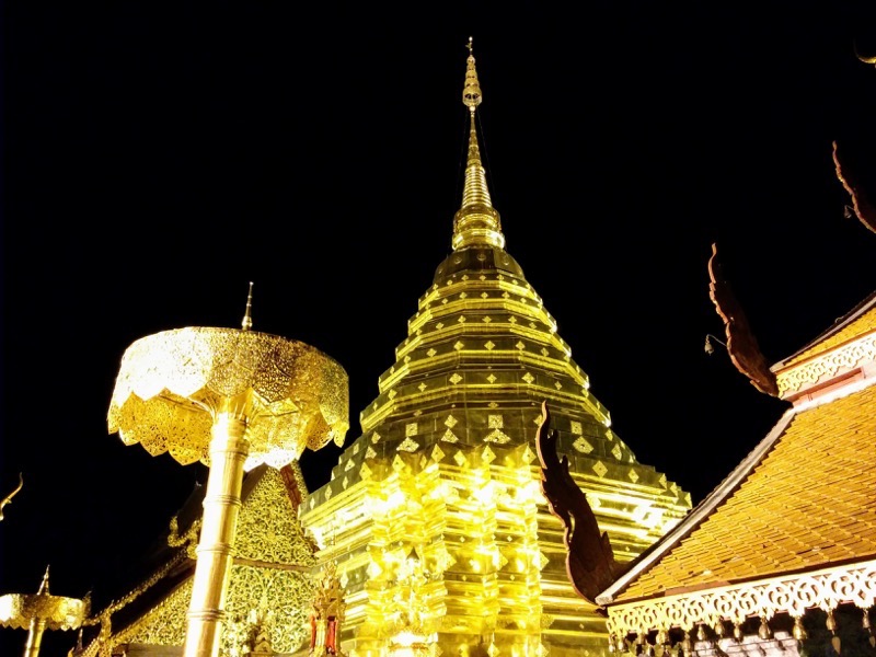 23黄金のチェディ