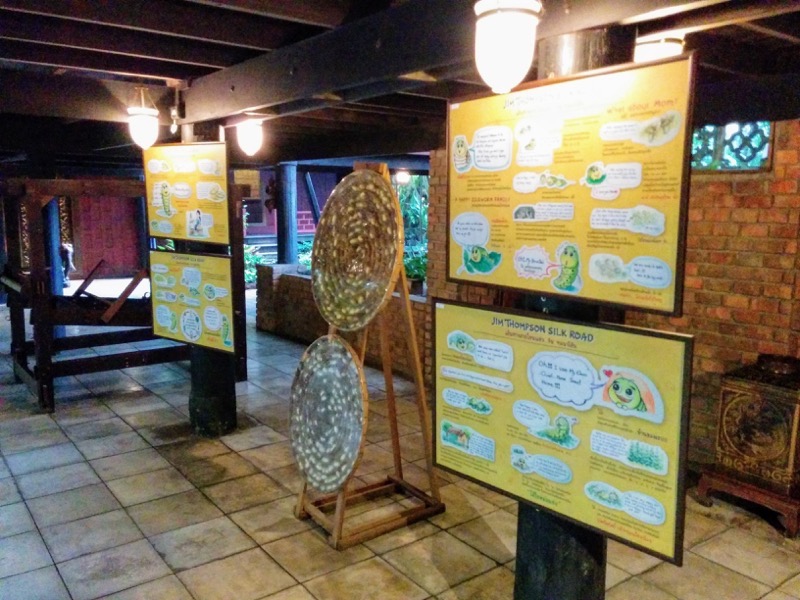 36絹について.jpg 36絹について