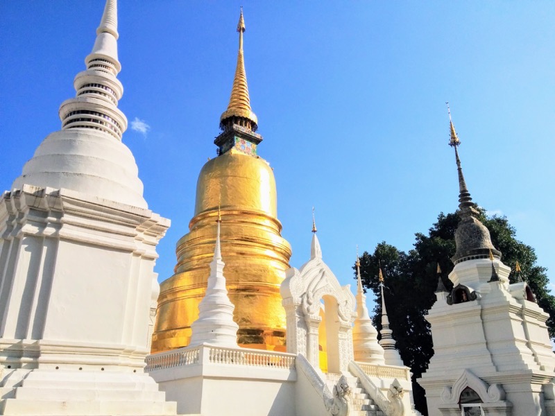 31チェディ.jpg 31チェディ