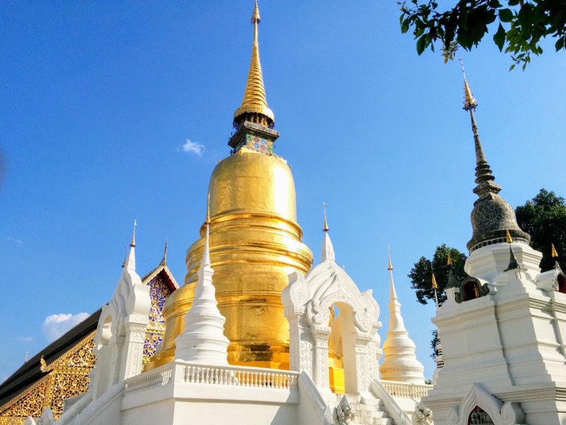 32チェディ.jpg 32チェディ