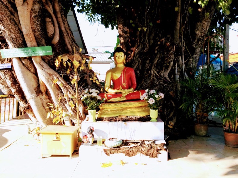 16ワット・パー・ボン.jpg 16ワット・パー・ボン