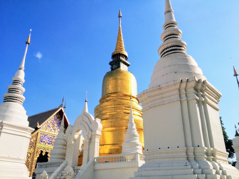 30チェディ.jpg 30チェディ