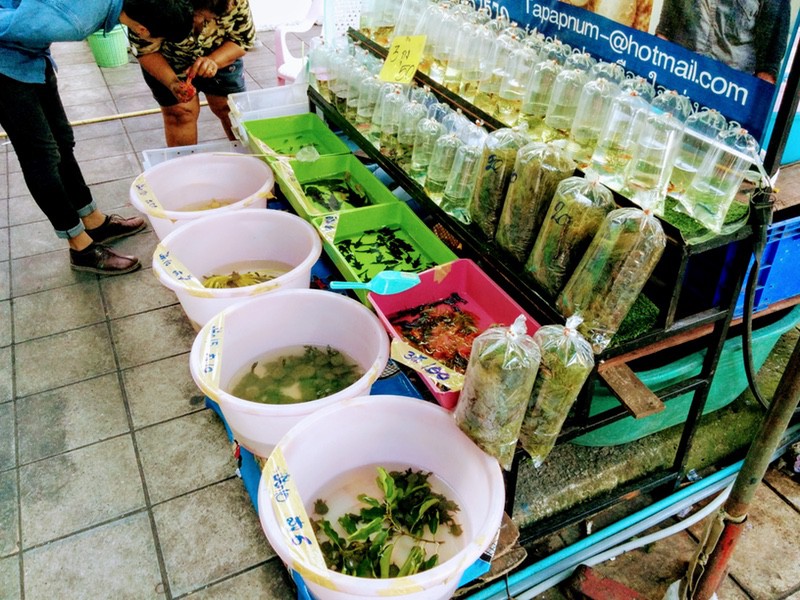 11チャトチャックマーケット